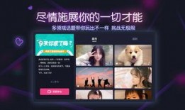 娱乐爆料横屏视频大全,揭秘热门横屏视频大全