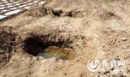 蒙阴县最新爆料新闻事件,最新爆料揭示惊人真相