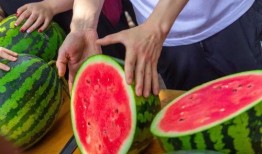 呼市大学免费吃瓜的群,夏日清凉福利大放送！”