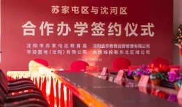 石家庄学区爆料新闻最新,新政策下的教育格局重塑