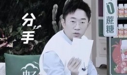 杨迪爆料张柏芝视频大全,揭秘娱乐圈背后的真相