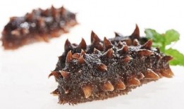 即食海参爆料视频大全集,视频大全集深度解析