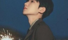 娱乐吃瓜的男歌手,揭秘那些男歌手的幕后故事