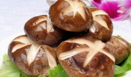 香菇炖爆料娱乐节目,揭秘娱乐圈幕后故事，带你走进明星真实生活