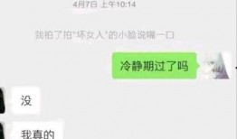 胖猫事件完整版最新爆料,揭秘背后惊人真相，最新爆料震撼来袭！