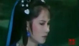 飞花逐月全集在线观看,穿越时空的浪漫传奇全集在线观看攻略