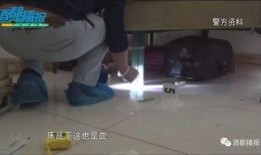 分尸在线观看,网络直播下的恐怖真相