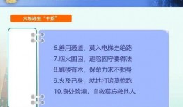 网友爆料教程视频下载安装,教程视频下载安装全攻略，轻松上手！