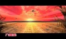 彩霞在线观看高清视频,尽享视觉盛宴的云端之旅