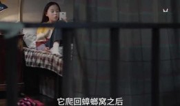 小黄被姐姐爆料视频大全,揭秘网络红人的真实生活