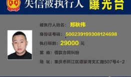 最新巡查员爆料视频大全,揭秘现场实况，一探究竟