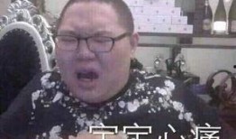 小孩哥爆料视频在线观看,揭秘幕后真相，带你走进神秘世界