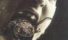 变蜥人魔在线观看,异变觉醒，人类与蜥蜴人的生死较量