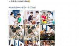 台湾小凯爆料视频大全下载,揭秘娱乐圈幕后真相