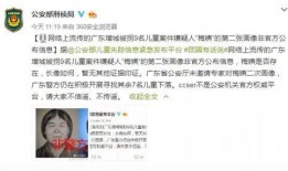 瑞昌最新爆料事件始末,真相与争议交织的悬疑剧