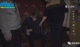 分尸在线观看,网络直播下的恐怖真相