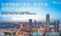 深圳最新爆料,揭秘城市变革背后的故事