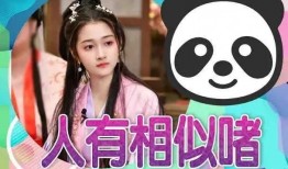 娱乐大爆料大瓜,大瓜连连，明星幕后真相曝光