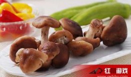 香菇炖爆料娱乐节目,揭秘娱乐圈幕后故事，带你走进明星真实生活