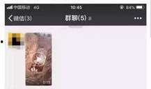 猪瘟最新爆料视频播放,视频揭示疫情真相与防控措施