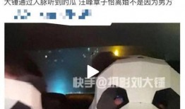 刘大锤爆料最新视频,热点事件背后的惊人真相