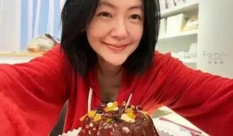 张兰爆料保姆视频大全下载,揭秘事件背后真相与下载指南