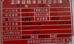 洛阳信息港爆料信息网最新,揭秘最新洛阳本土热点事件！