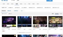 网吧爆料视频素材无水印,无水印视频揭示真实场景