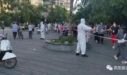 广西宾阳最新闻爆料,揭秘当地热点事件背后的真相