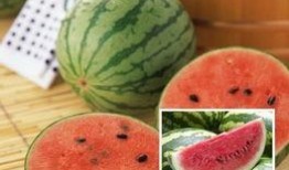 千万网红动感吃瓜,揭秘娱乐圈幕后风云