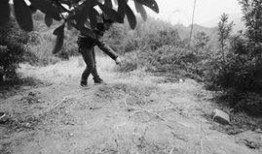 分尸在线观看,网络直播下的恐怖真相