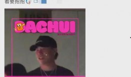 刘大锤爆料最新视频,热点事件背后的惊人真相