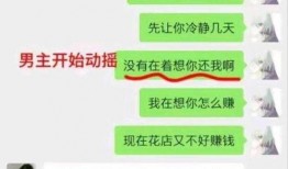 胖猫事件完整版最新爆料,揭秘背后惊人真相，最新爆料震撼来袭！
