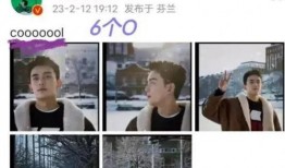 吴露可逃狗仔最新爆料,揭秘明星幕后生活细节