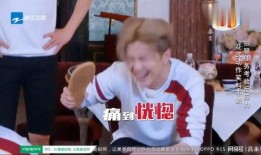 李晨白鹿娱乐爆料,揭秘明星幕后故事