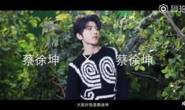 爆料蔡徐坤的视频大全,揭秘偶像背后的精彩瞬间