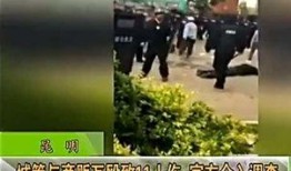 云南昭通爆料最新,揭秘云南昭通神秘事件背后的真相