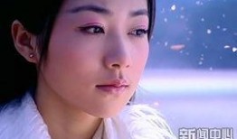 吴某爆料女星是谁啊视频,揭秘视频中神秘女星身份