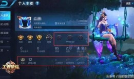 王者诺雅爆料最新消息,最新游戏动态大揭秘！