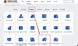 通行证最新爆料信息怎么写,揭秘政策调整与出行新规