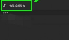 娱乐吃瓜的视频配音软件,轻松打造娱乐热点！