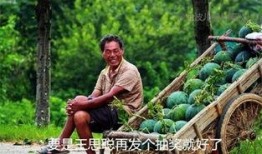 梨花吃瓜日记免费观看,免费观看，揭秘娱乐圈幕后故事