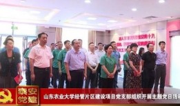 泰安大学爆料事件视频,校园事件真相曝光