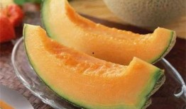 免费吃哈密瓜视频,视频带你领略甜蜜滋味