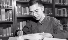 陈景润妻子爆料视频播放,视频播放背后的感人故事