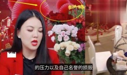 名星最新爆料视频播放大全,揭秘娱乐圈幕后真相