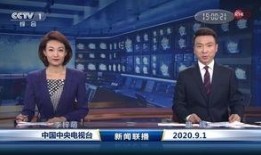 央视新闻爆料王冕事件,真相与影响深度解析