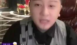 辛巴和方丈爆料视频,娱乐圈背后真相曝光