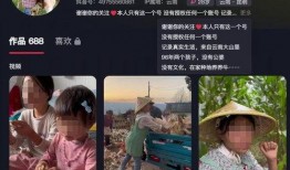 邯郸抖音爆料事件最新,揭秘背后真相与网络舆论风暴