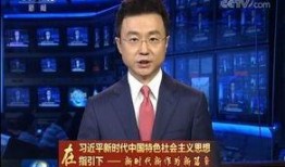 央视新闻爆料王冕事件,真相与影响深度解析